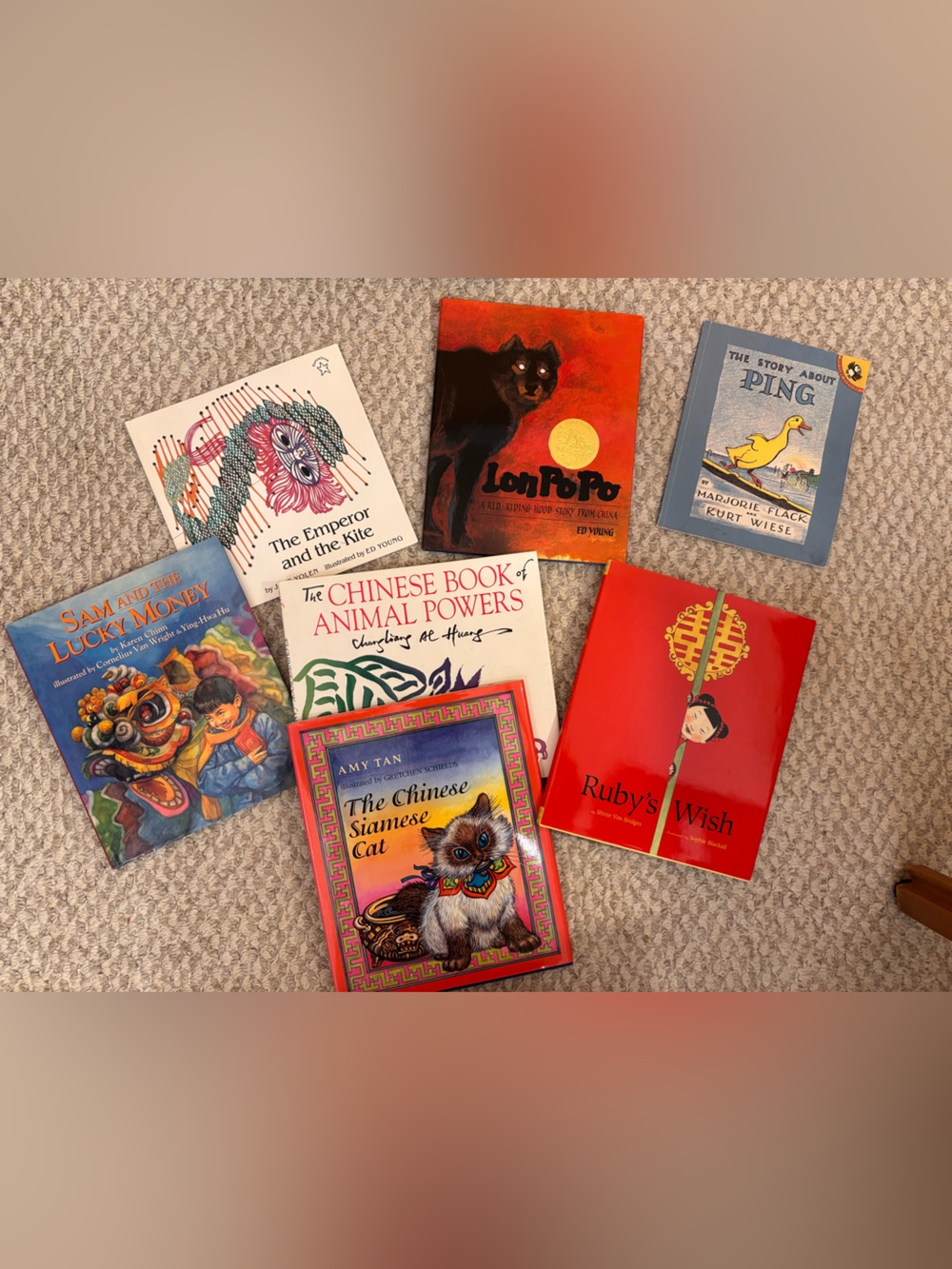 Bundle of LIKE NEW Chinese Children’s books